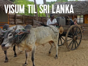 Visum sri lanka