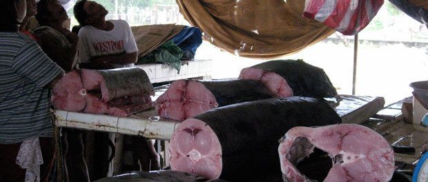 markedet hvor de solgte fisk i sipalay