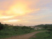 flot morgensol over yala nationalpark