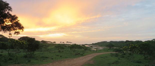 flot morgensol over yala nationalpark