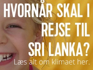 nyd det gode vejr på sri lanka