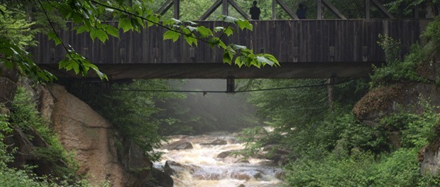 mange smukke natur oplevelser her ved White Mountain Naitional Forest