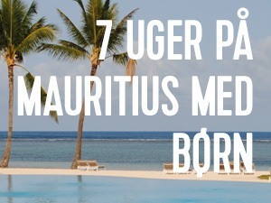 skoen rejse til mauritius med boern