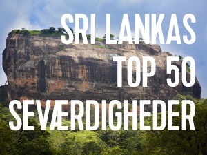 Få overblikket over de bedste seværdigheder på Sri Lanka