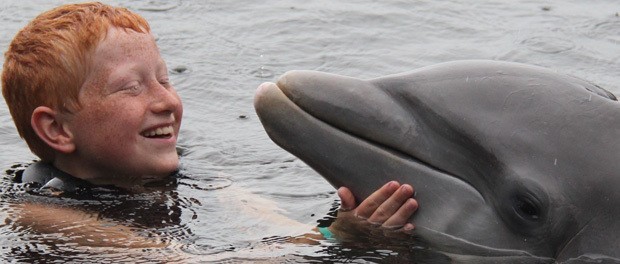en speciel oplevelse af svømme med delfiner