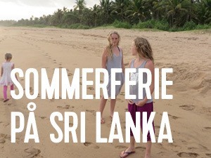 planlægning af tur rundt på sri lanka