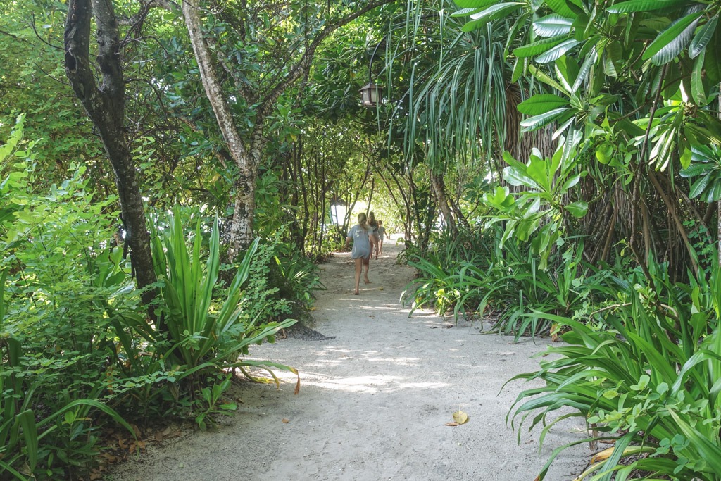 skøn lille jungle tur på vej ud til vores vandvillaer