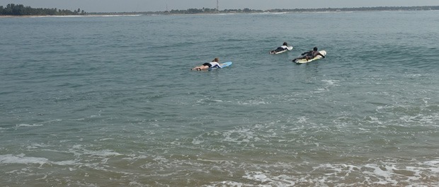 surfing arugam bay