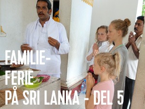 sidste del fra Sri Lanka inden turen går til Maldiverne