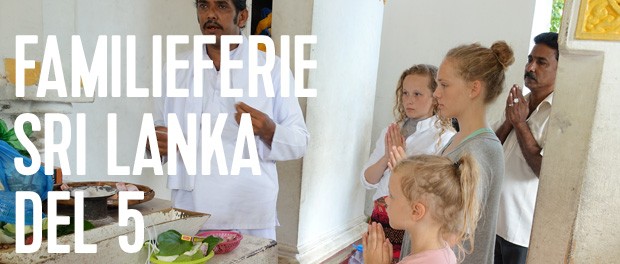 sidste del af vores rejseberetning fra sri lanka inden turen går til maldiverne