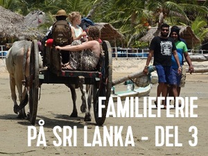 når turen går til sri lanka, så tager forbi Arugam Bay