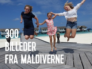 billeder fra maldiverne