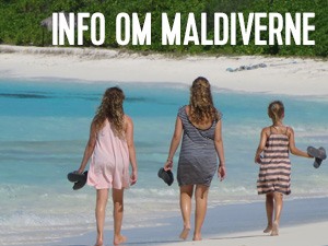 info om maldiverne