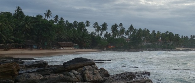 skøn strand ved goyambokka beach