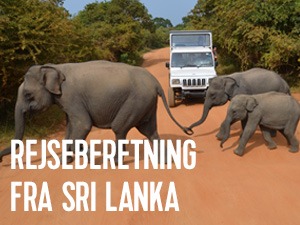 en rejseberetning fra Sri Lanka