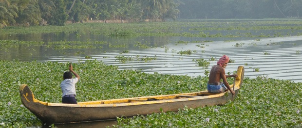 de lokale på floderne i kerala