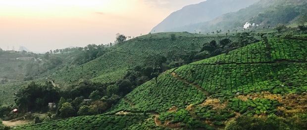 skøn udsigt ved munnar i sydindien