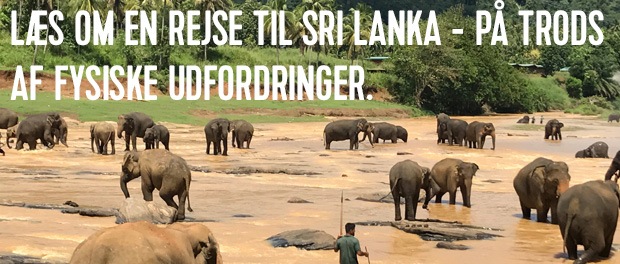 rejse-til-sri-lanka-som-handikappet