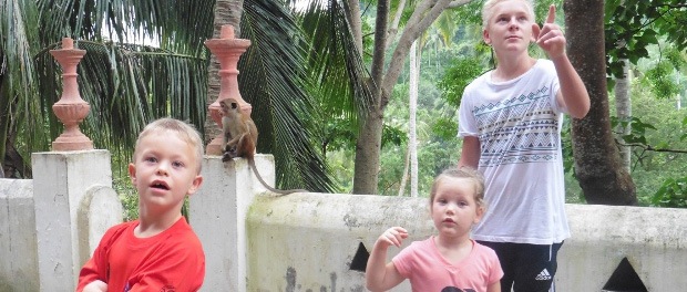 Besøg på Mulkirigala-templet, buddistisk tempel i Tangalle, hvor der bl.a. var aber