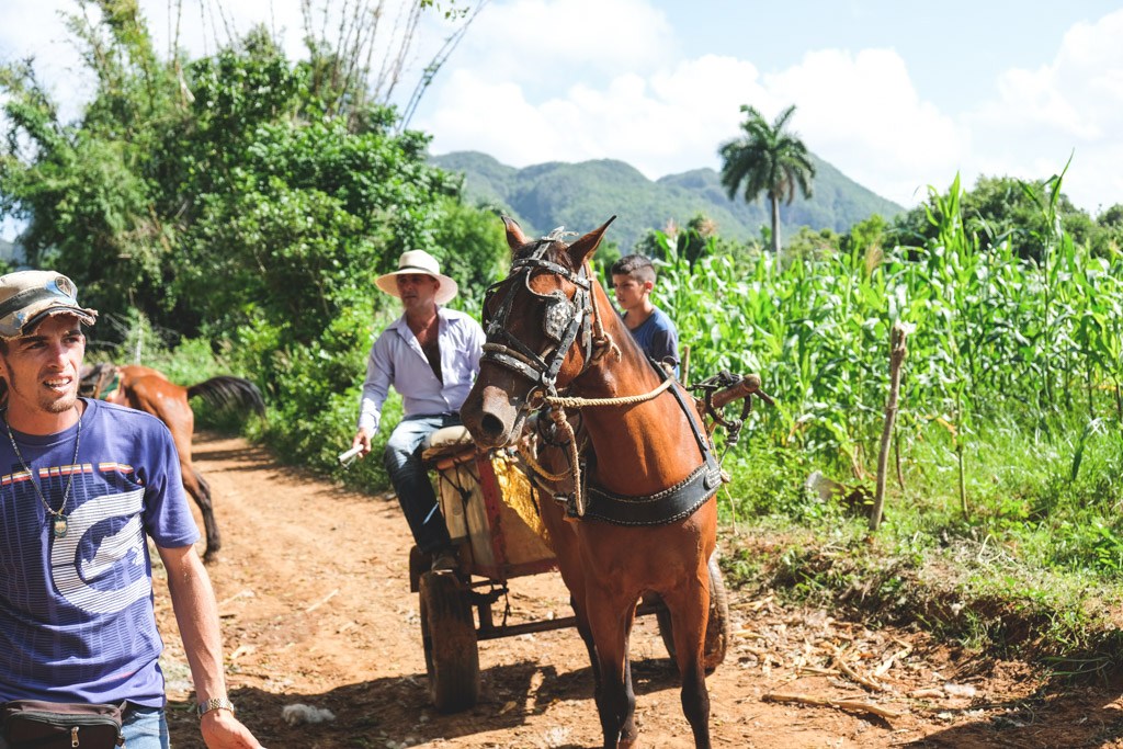 horseriding vinales