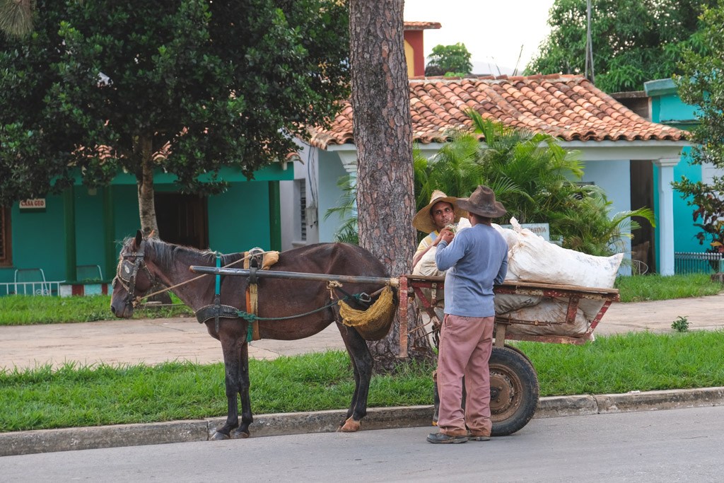 local life cuba