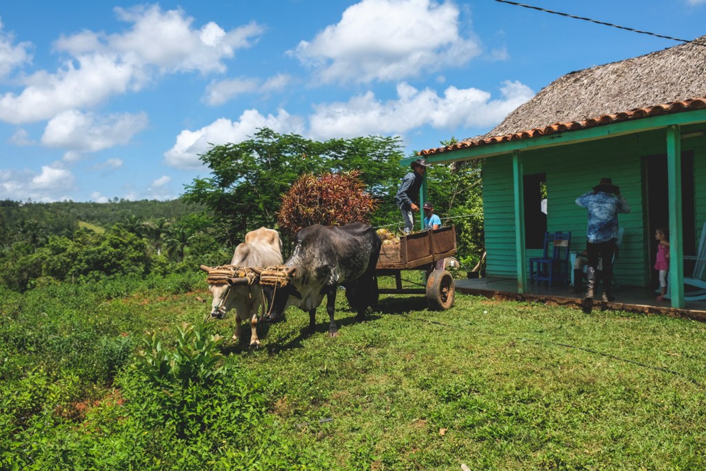 vinales local living