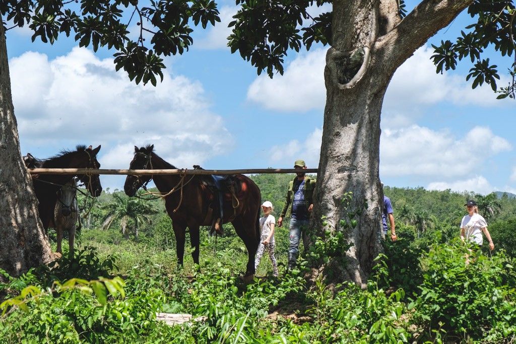 nature vinales