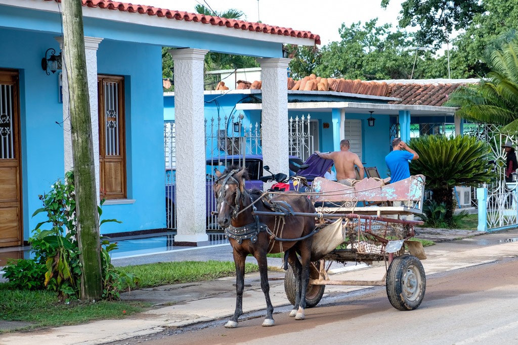 vinales