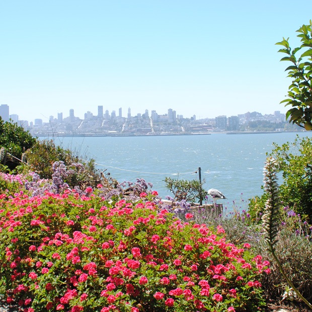alcatraz