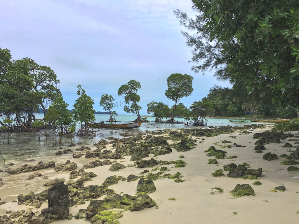 ved stranden på havelock