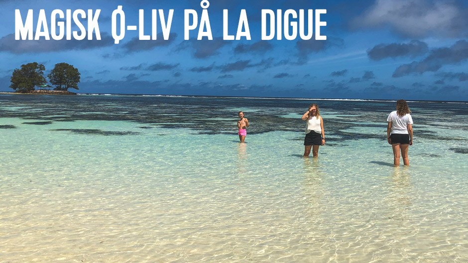 la digue