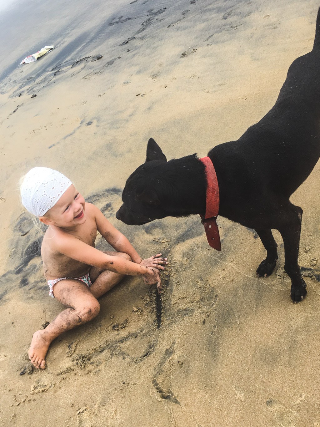lege med hunden ved stranden i varkala