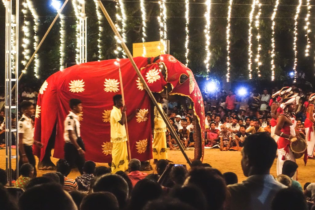 festival i kataragama - en stor oplevelse men synd for elefanterne