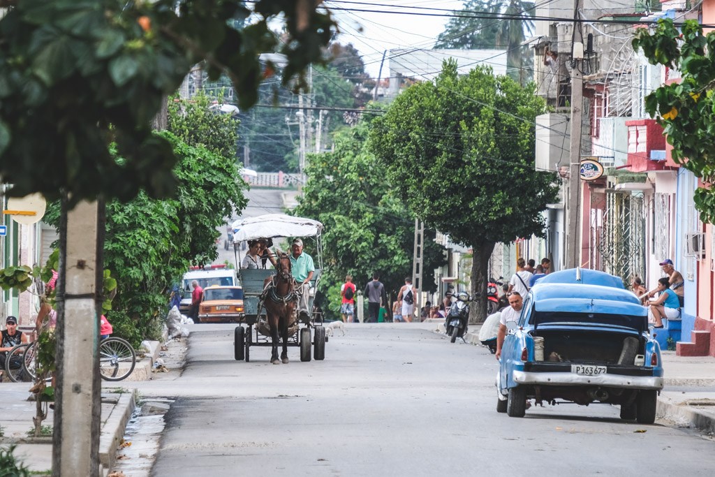 cienfuegos horses