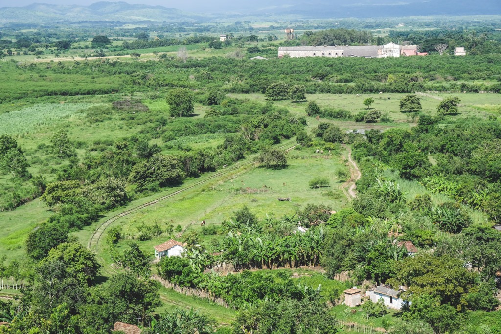 frodige marker og sukkerrørs plantager tæt ved trinidad cuba