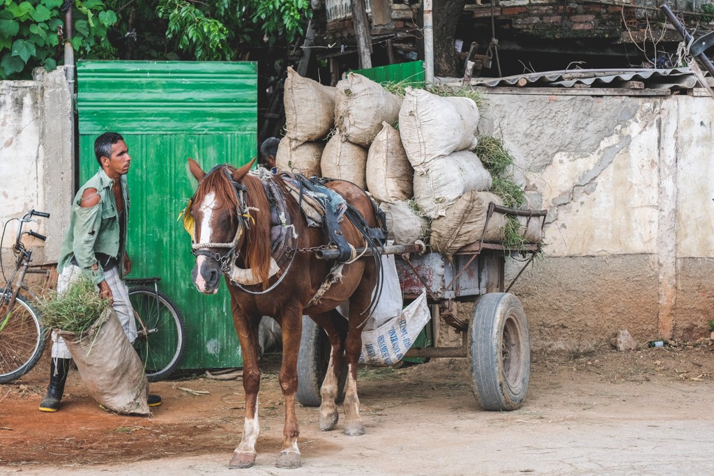 de lokale arbejder i trinidad