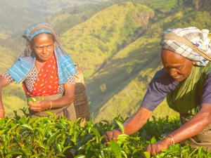 tamil nadu i indien