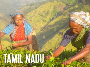 tamil nadu sydindien