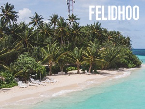 felidhoo