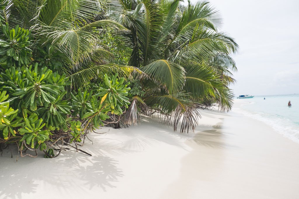 den lille strand maldiverne