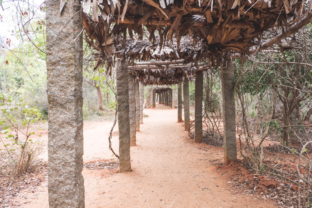 auroville community