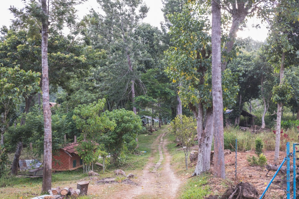 elephant valley kodaikanal