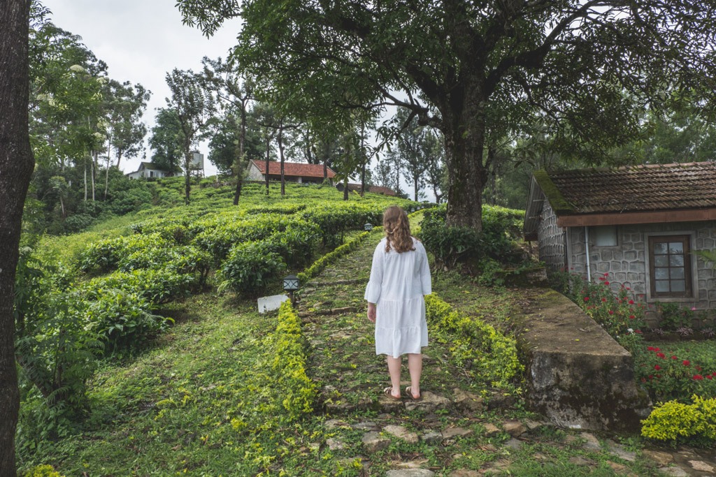 haven ved sinna dorai tamil nadu valparai