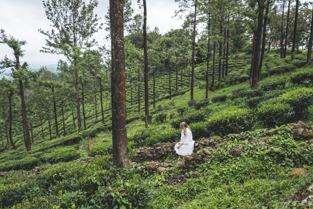 smuk natur valparai