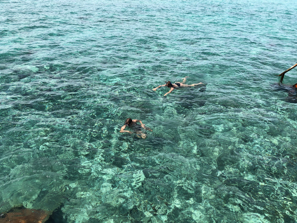 Snorkling ved Reethi Faru