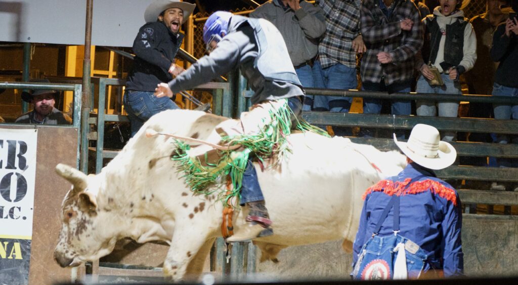 Cave Creek bull riding