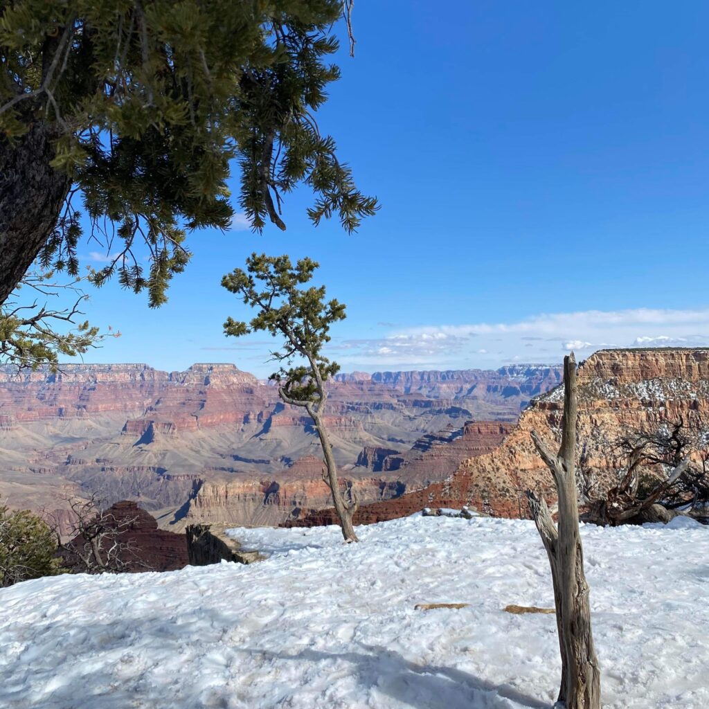 Grand Canyon i sne
