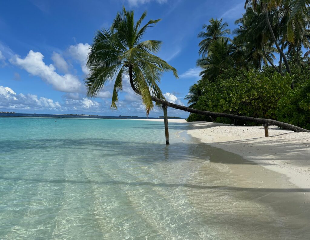 Hav og strand på Maldiverne