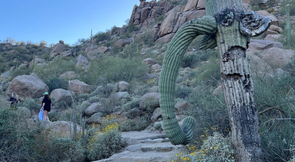 Scottsdale Pinnacle Peak