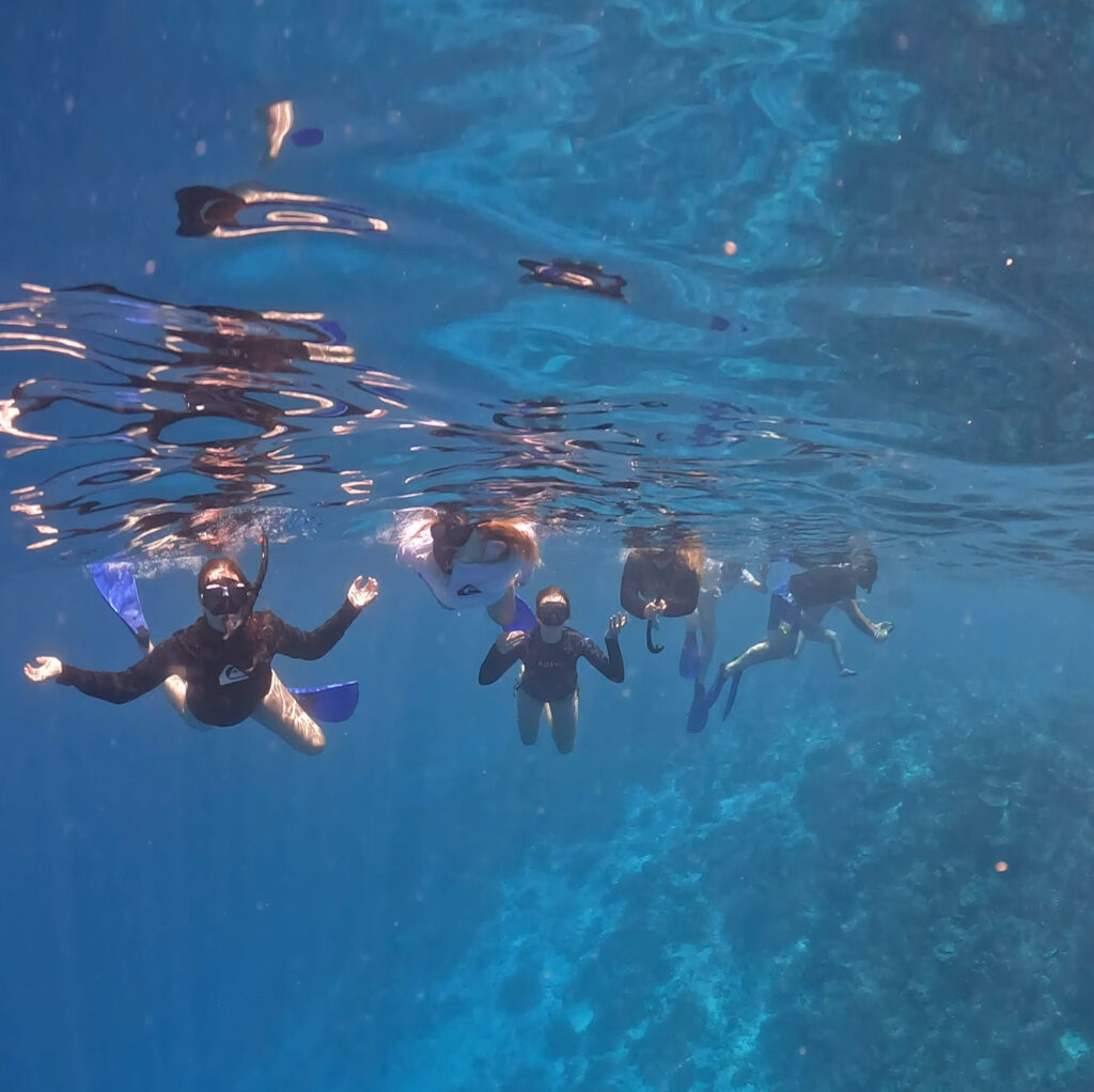 Snorkling ved husrevet på Sun Siyam Vilu Reef